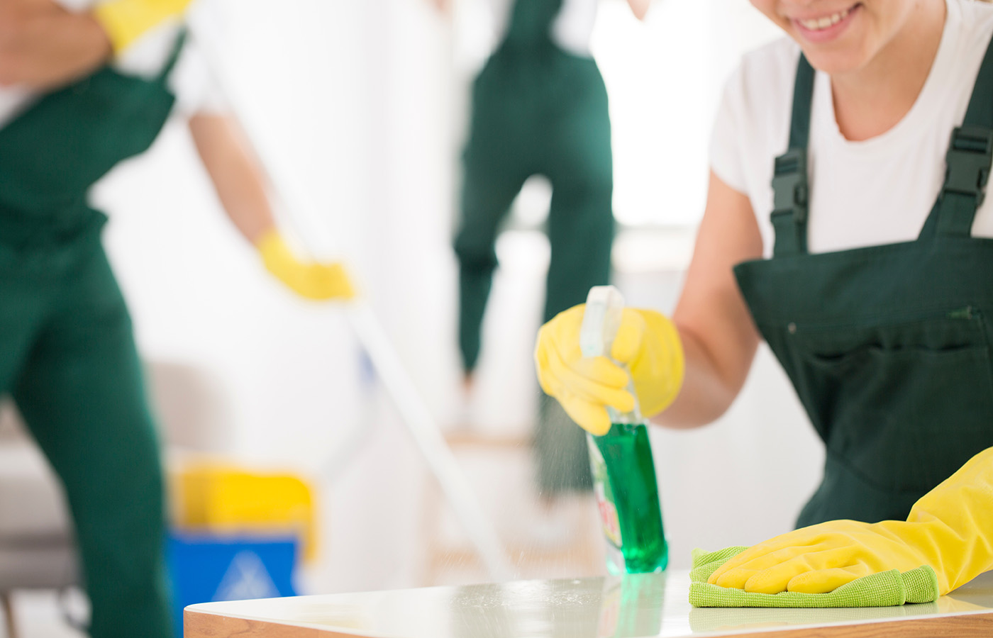Professionalität - Ihr Hauselfen-Team